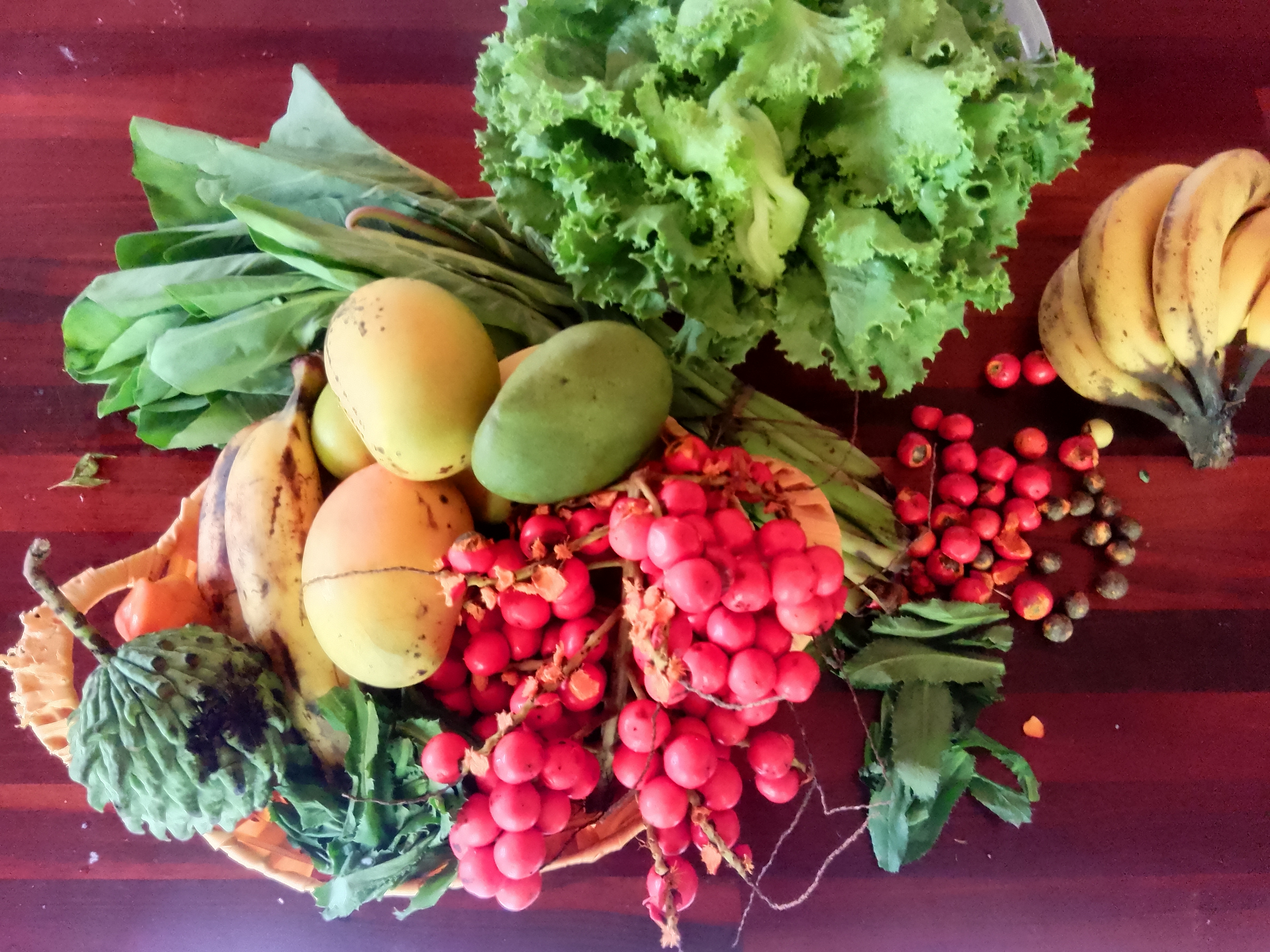 Fresh produce harvested by Rivers Organic Goods