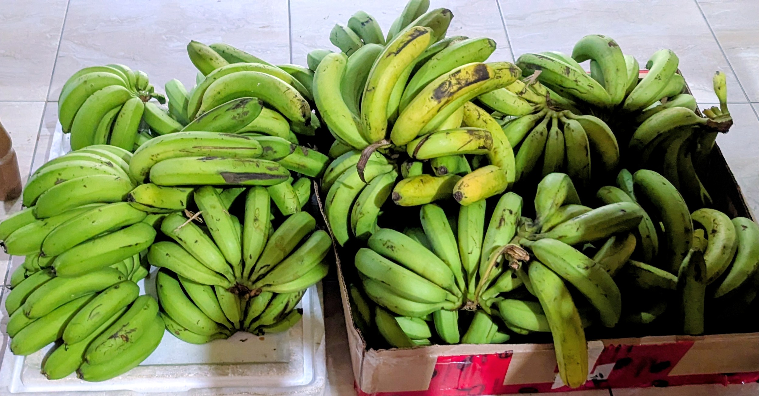 Organic, hand picked, all natural Grois Machel bananas